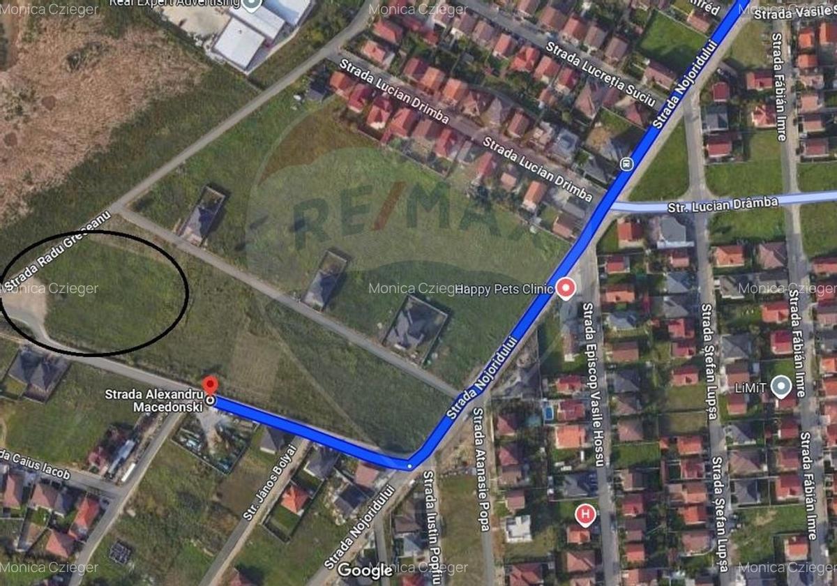 Teren cu destinatie comercial, servicii, de vanzare, Grigorescu - 2