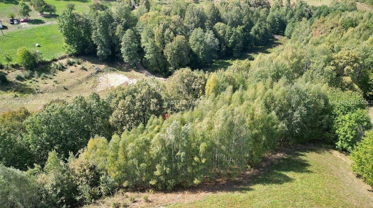 Teren intravilan, priveliste deosebita - 10