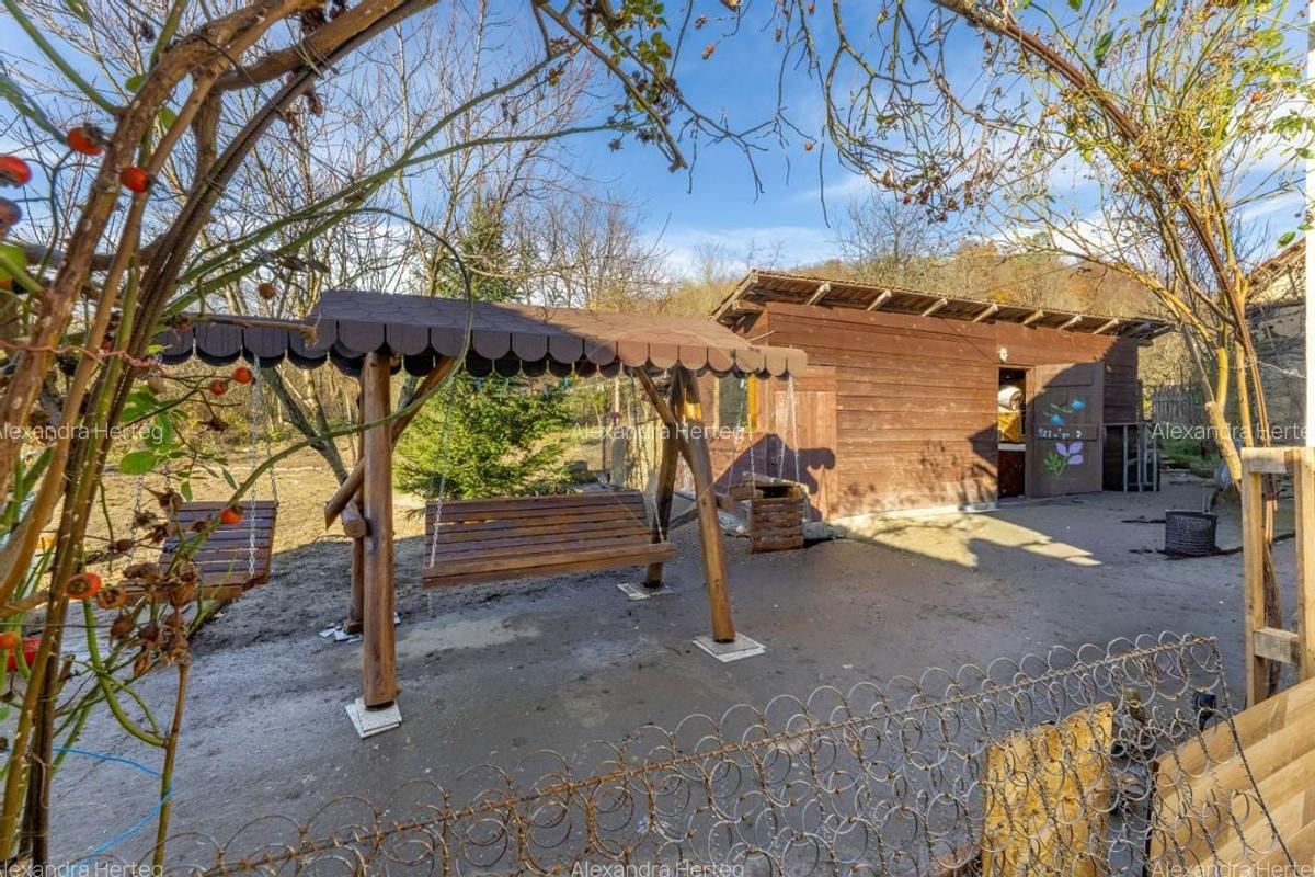 Casa cu 5 camere in Barzava - 16