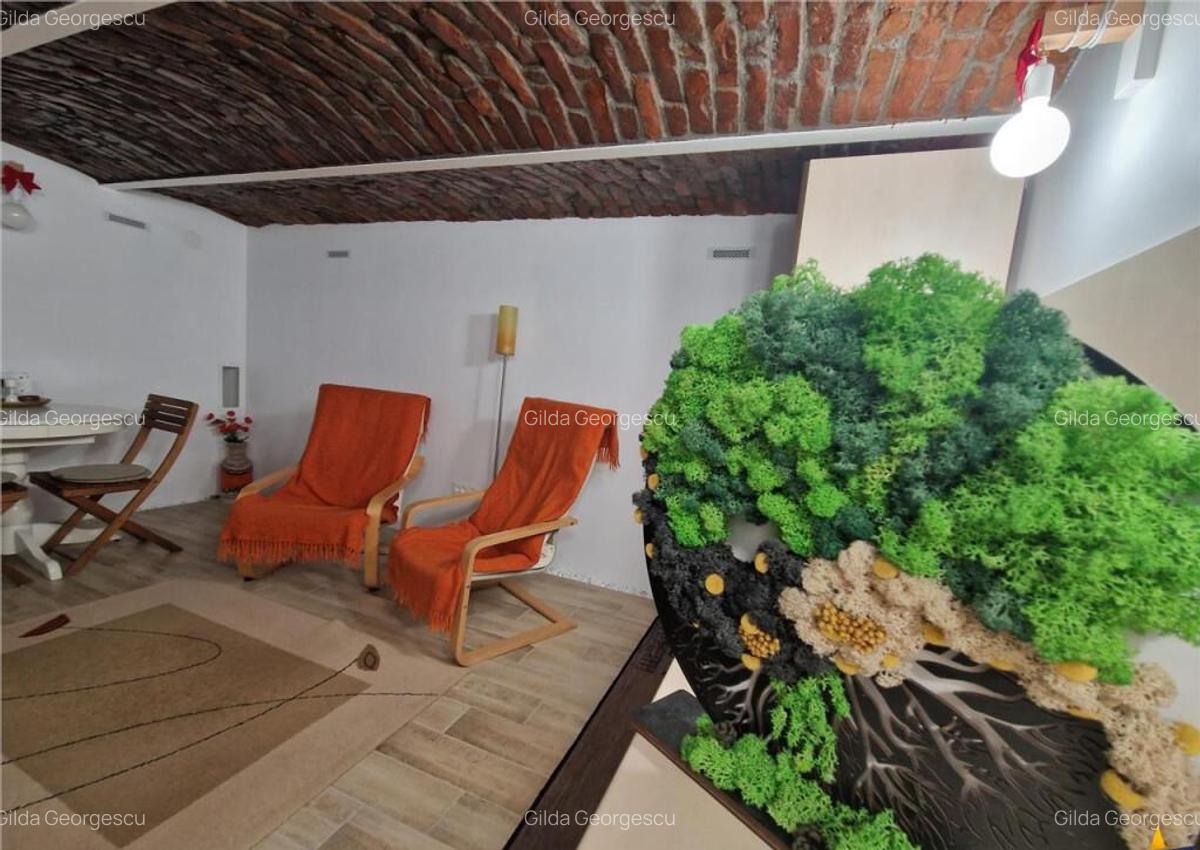 Armonie intre rustic si modern, complet renovat, zona Centra - 20