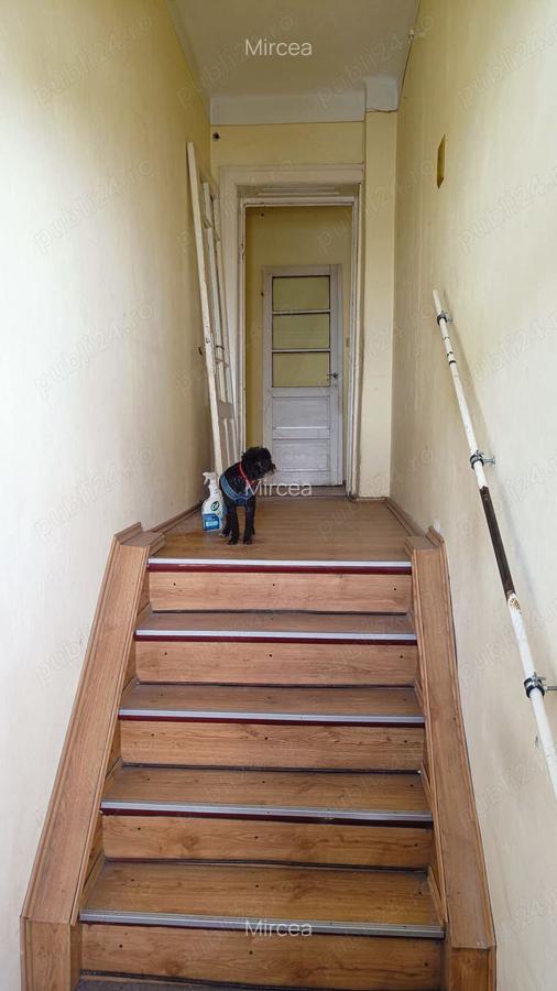 Vand casa Pitesti FRATII GOLESTI - 5