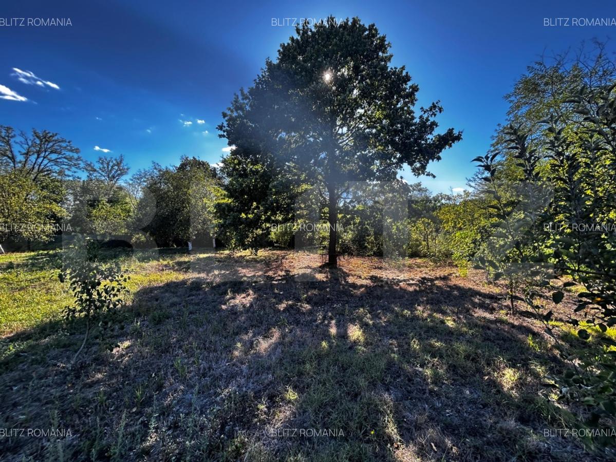 Doua casa de vanzare, teren intravilan 1773 mp, zona Stolojani - 6