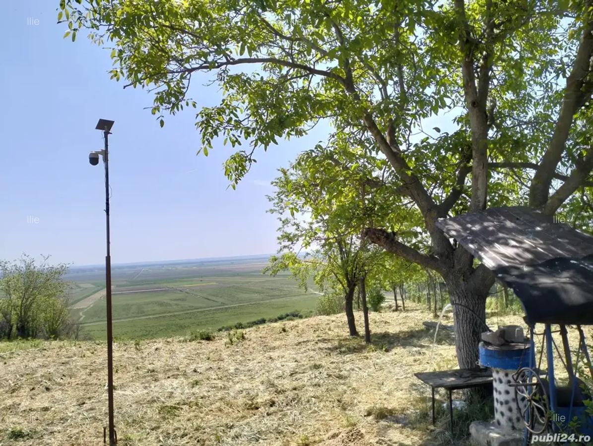 Casa de vanzare Baneasa - 7