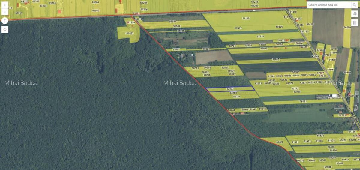`Teren cu dubla deschidere, langa padure, Snagov - Strada Pa - 2