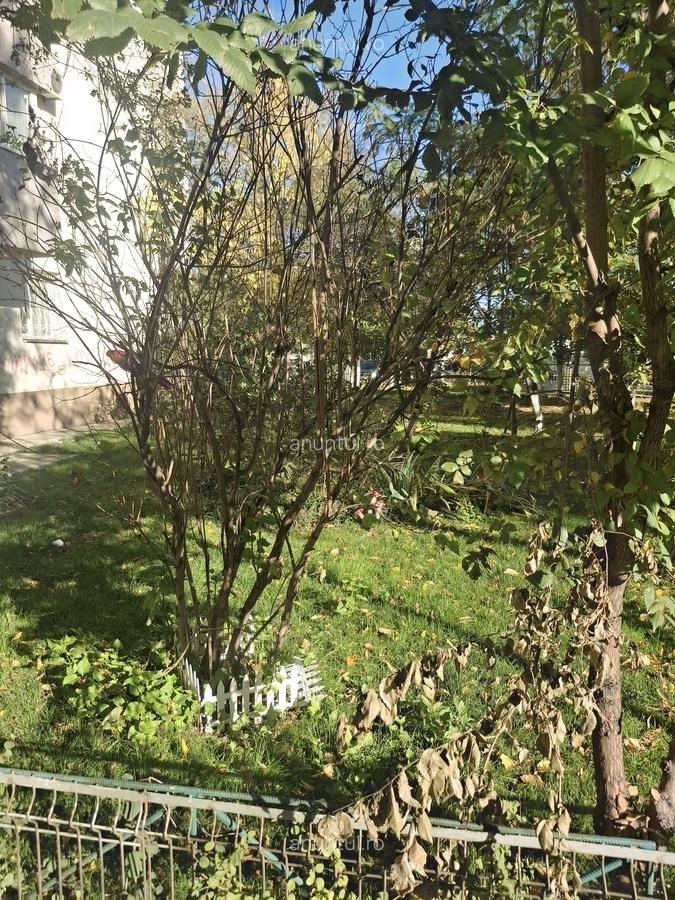 Pantelimon, Fundeni Parcul Florilor - 14