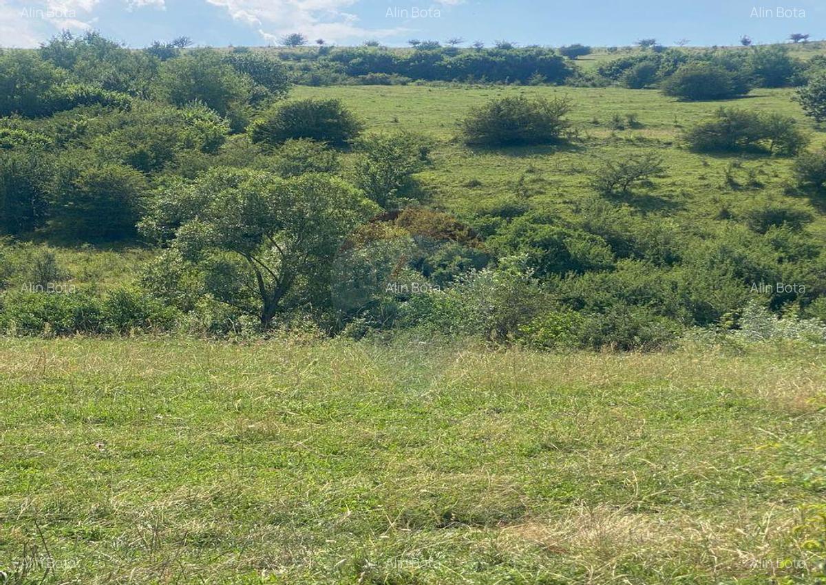 Teren de vanzare 8,700 mp Tarlungeni, comision 0 cumparator - 5