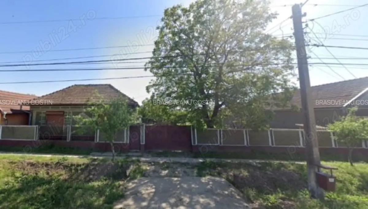 Casa cu teren de 6060 mp | LOC. BICACI | BIHOR - 3