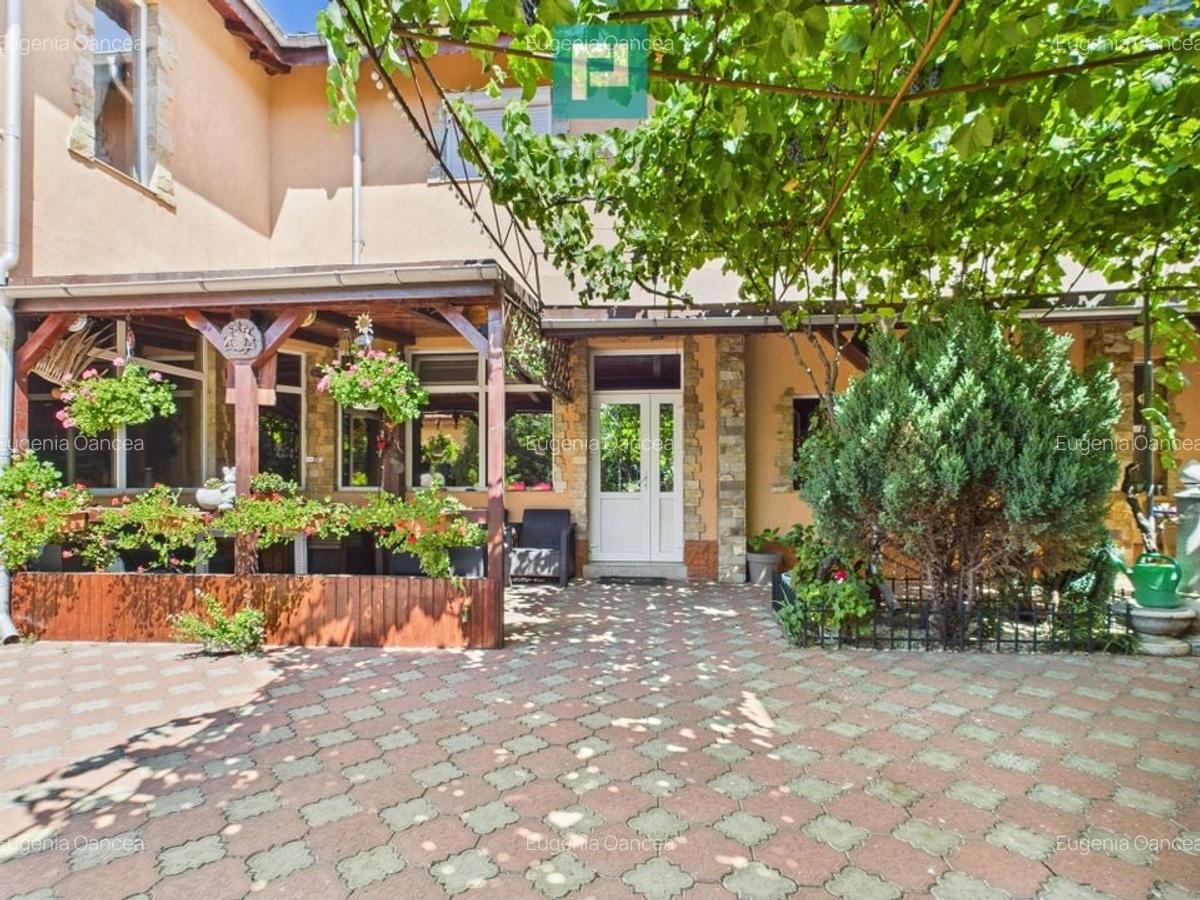 Pensiune la Orțișoara - 48