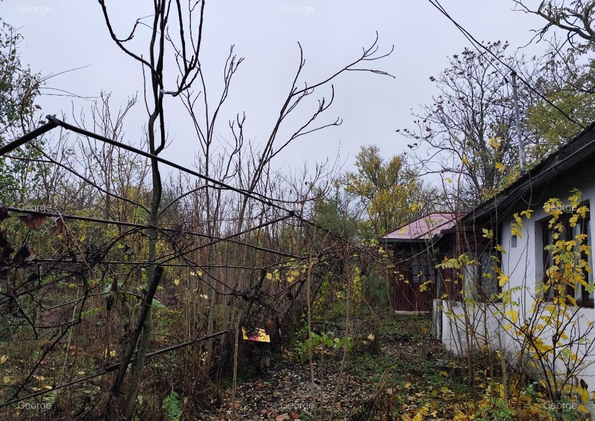 Casa batraneasca plus teren 1600mp Toporu jud. Giurgiu - 11