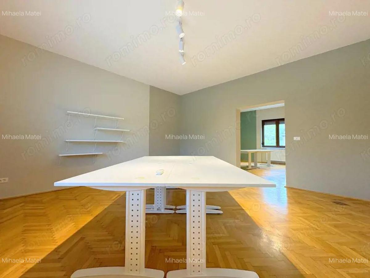 Spatiu birouri zona Centrala - Take Ionescu - 1