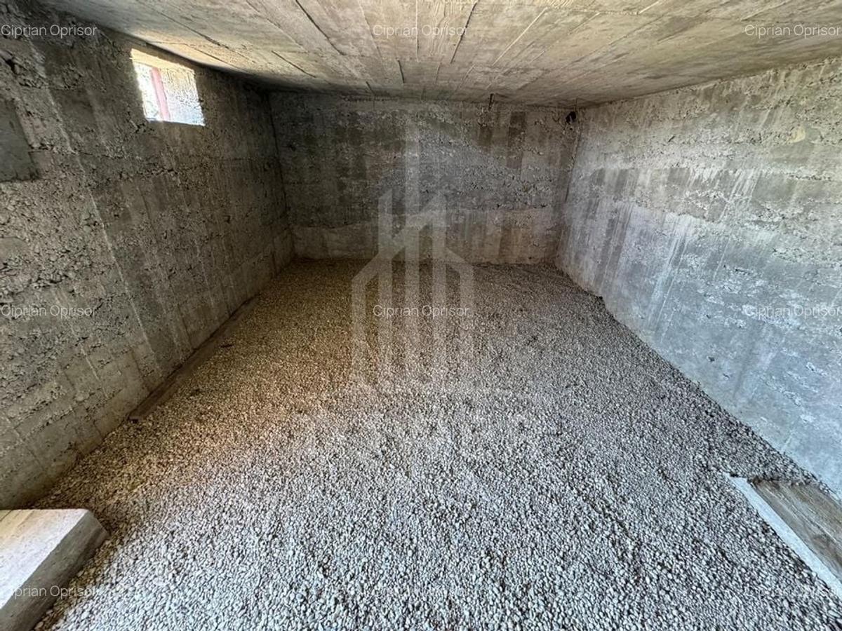 Casa cu 3 camere si teren | 111mp utili 450mp teren | Daia Noua | EXCLUSIVITATE - 9