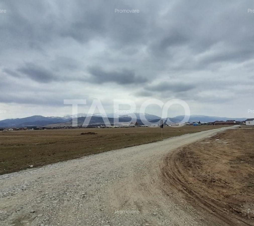 Teren intravilan 11.400 mp deschidere 45 ml in Talmaciu zona de case - 3