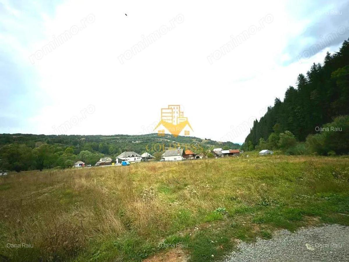Teren intravilan, 8260mp, Front stradal 129m, Rosia Montana, Alba - 5