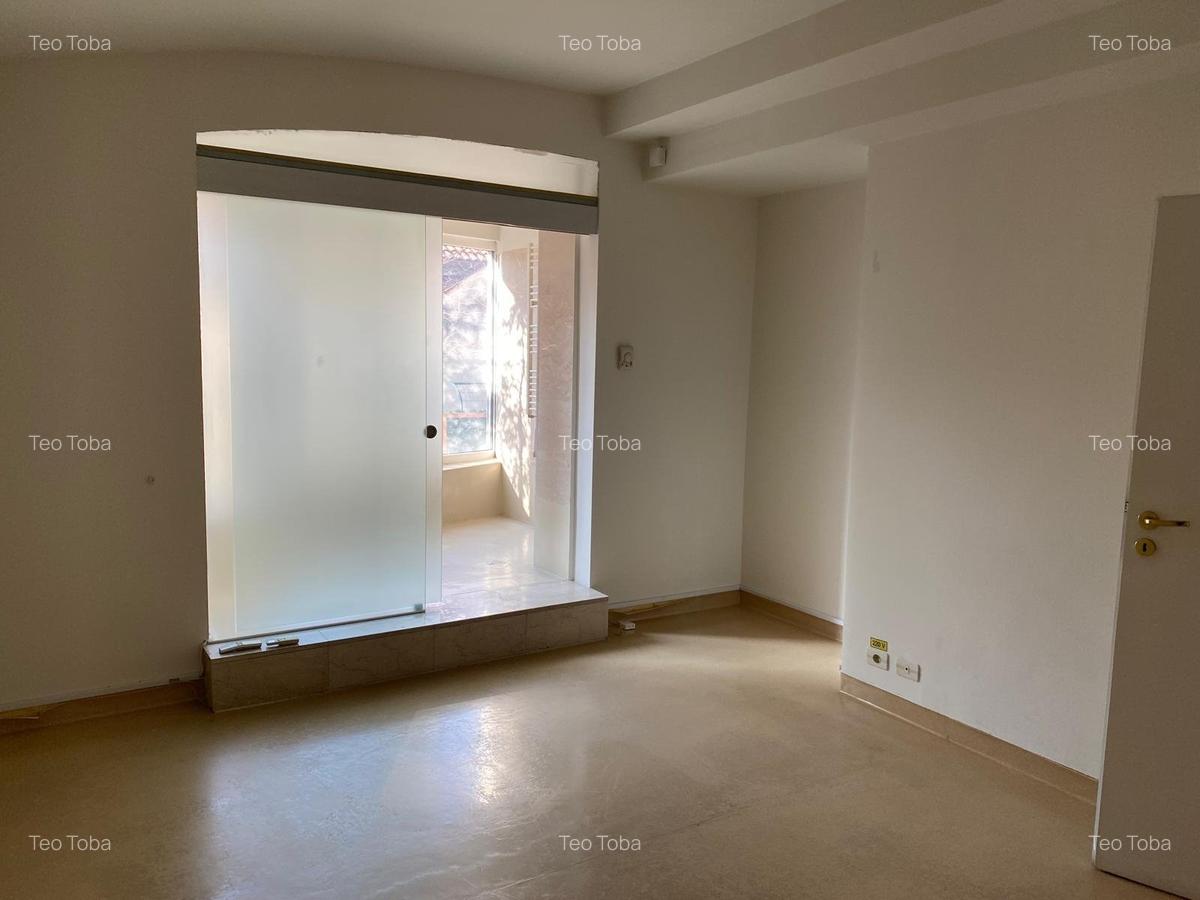 Inchiriere spatiu comercial P+1  230mp curte terasa ideal investitie Aviatorilor - 11