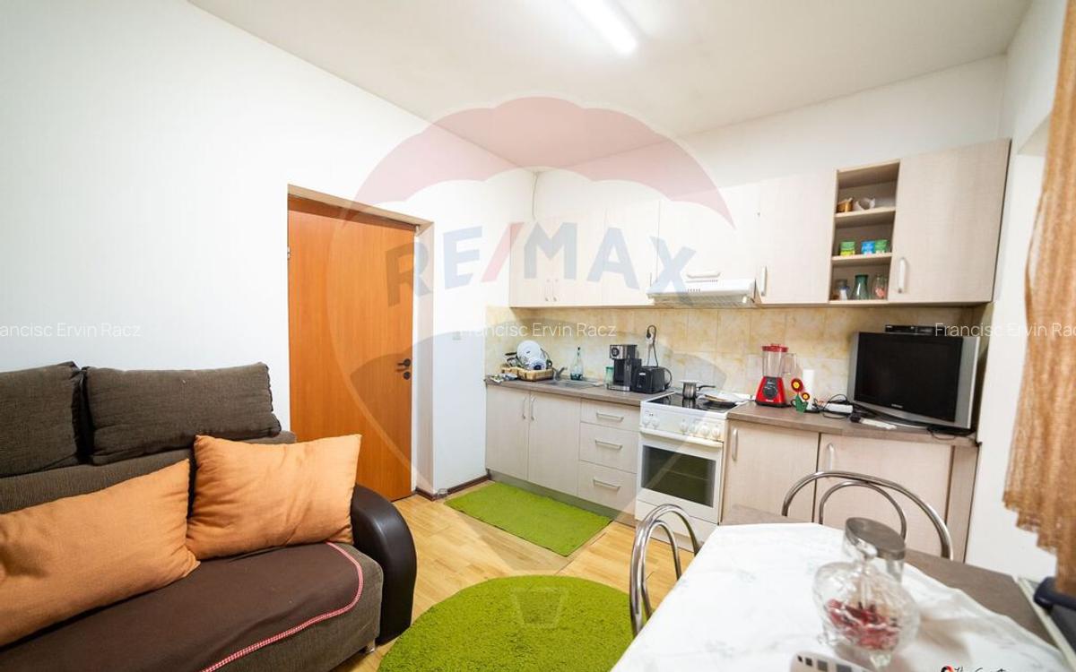 Imobil renovat, 2 apartamente, gradina ?i garaj Turnu - 8