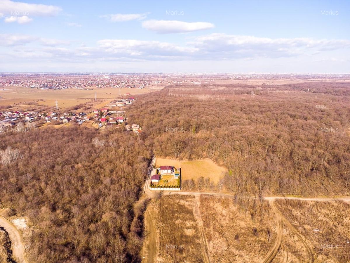 Teren intravilan Magurele langa padurea Cornetu si Arges - 2