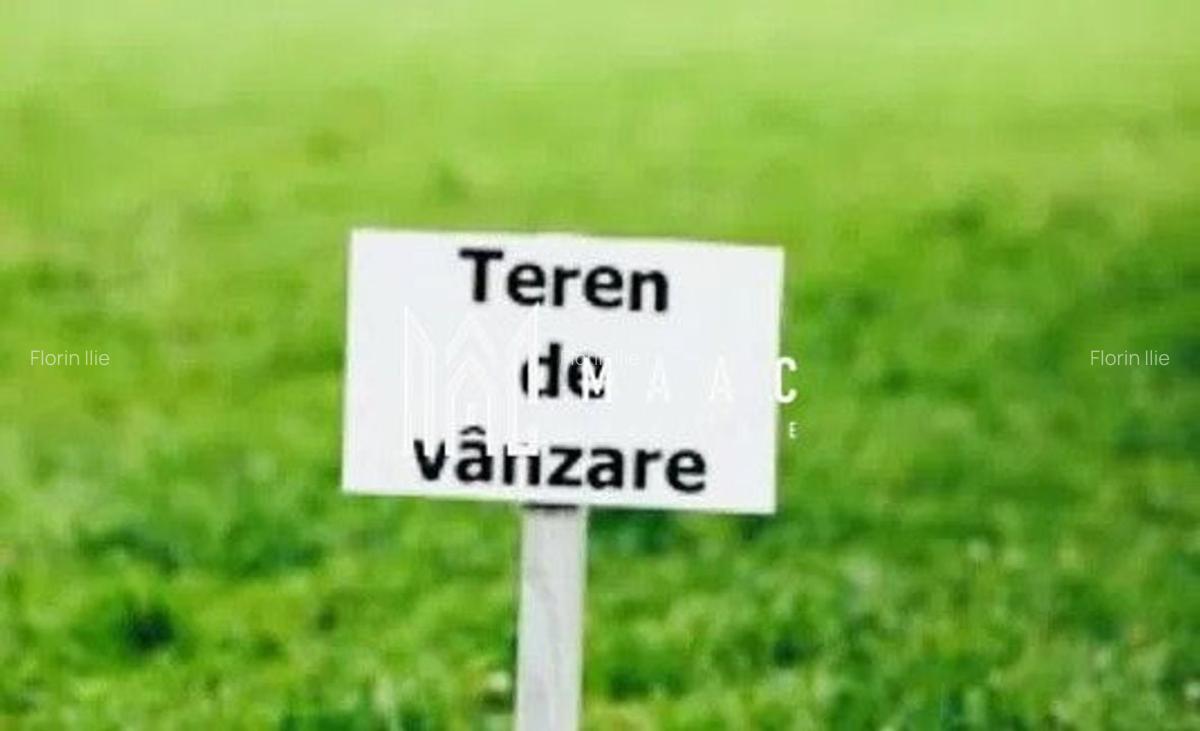 Teren 7000 mp I Intravilan I Cristian - 3