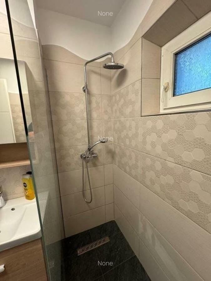 AP. 3 CAMERE KISELEFF, PRIMA INCHIRIERE, RENOVAT,PARCARE, CAT-FRIENDLY - 10