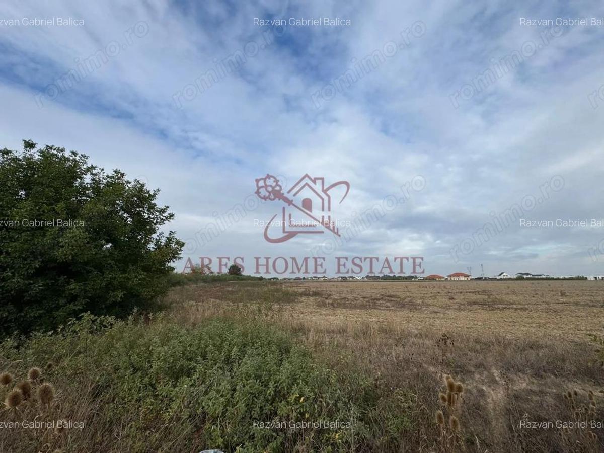 Teren parcelabil cu toate utilitatile 10.000 mp Mo?ni?a Noua 18 /mp - 4