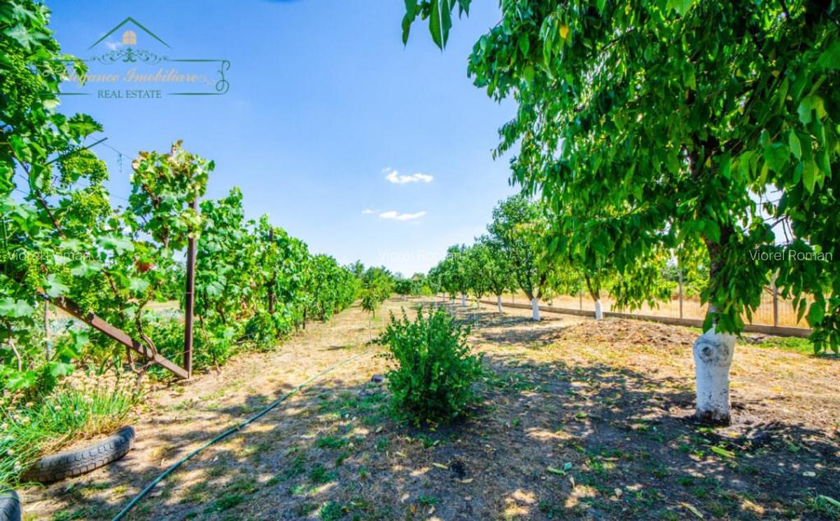 Casa cu 4 camere, centrala proprie si 1440 mp teren, Comuna - 16