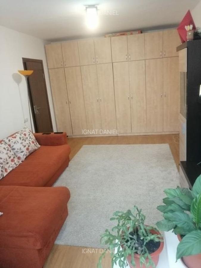 Apartament cu 2 camere semidecomandat în Tătărași - 4