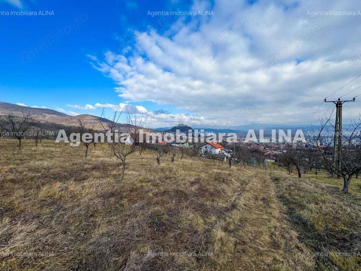 15 parcele de Teren intravilan in Deva, zona Calugareni, Strada Prunilor, Jud. Hd, cu PUZ, PUD, etc. - 4