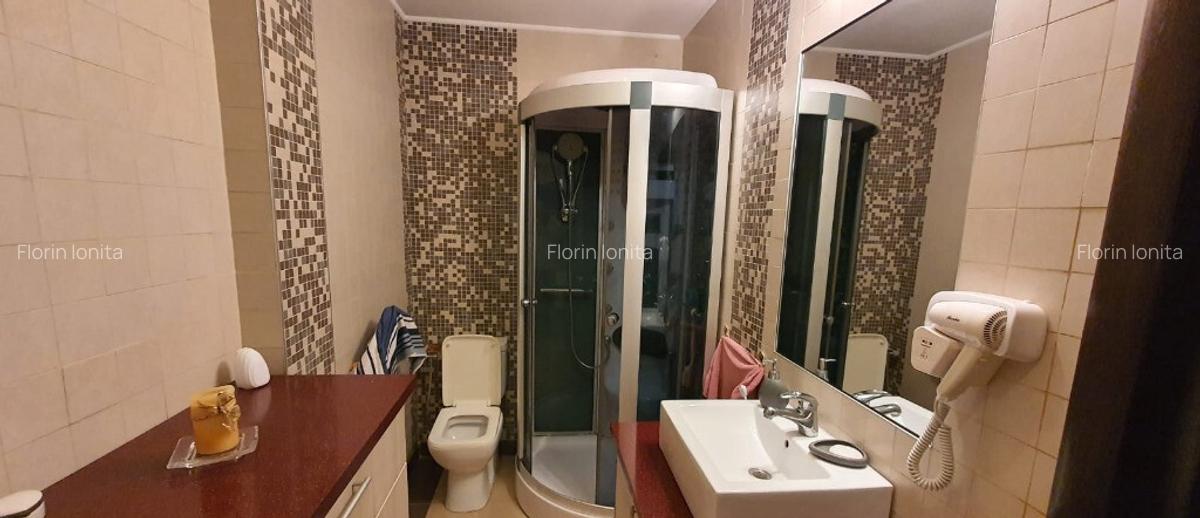 Casa unifamiliala Malu Cu Flori, Dambovita - 13