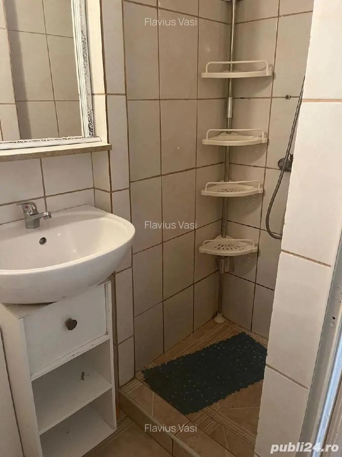 Proprietar - 4