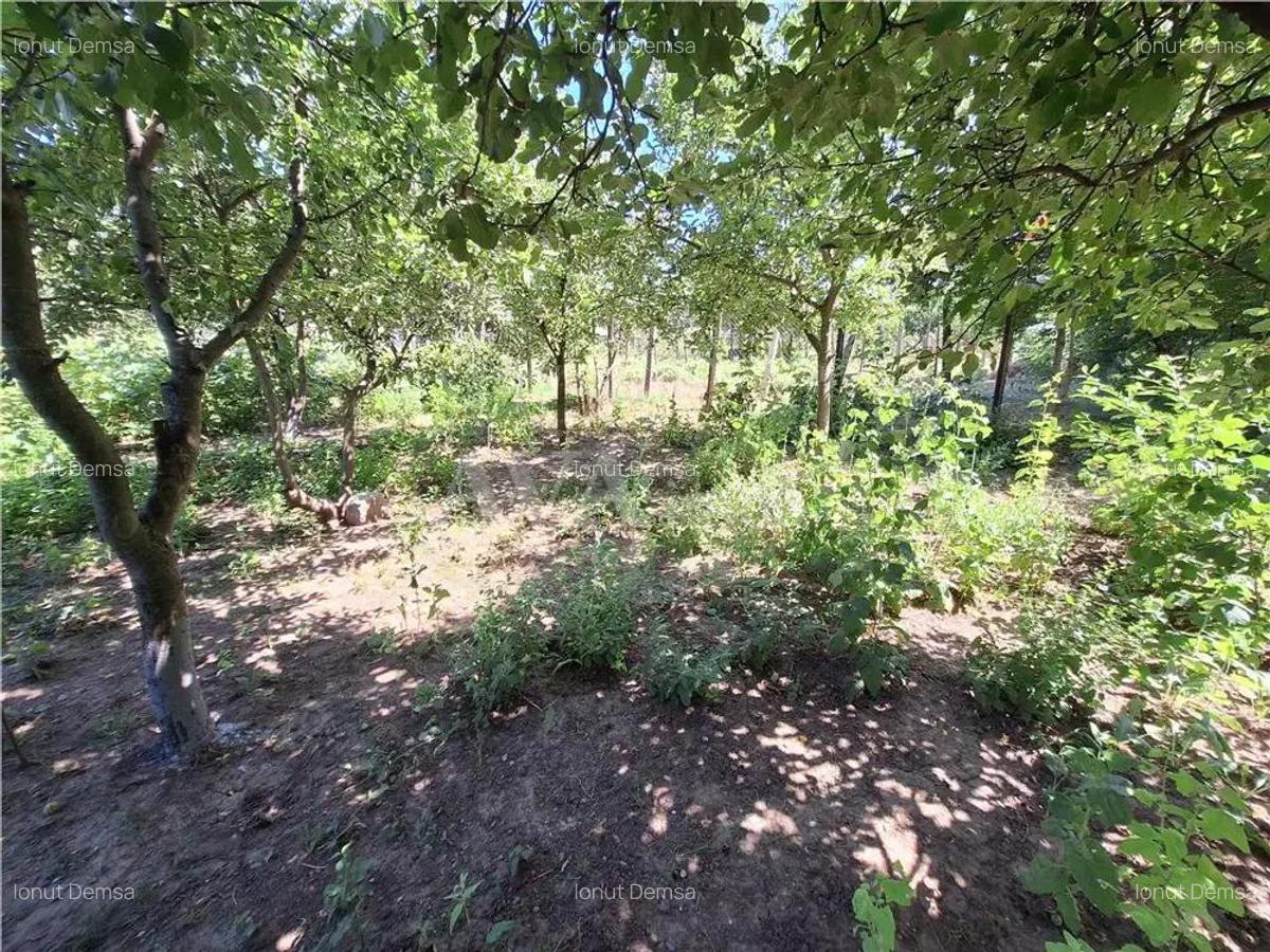 Casa 3 camere teren 580 mp, zona Tache-Bacau - 1