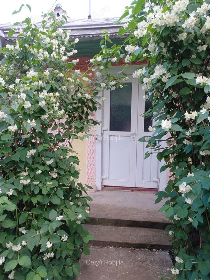 Casa in Miorcani - 1