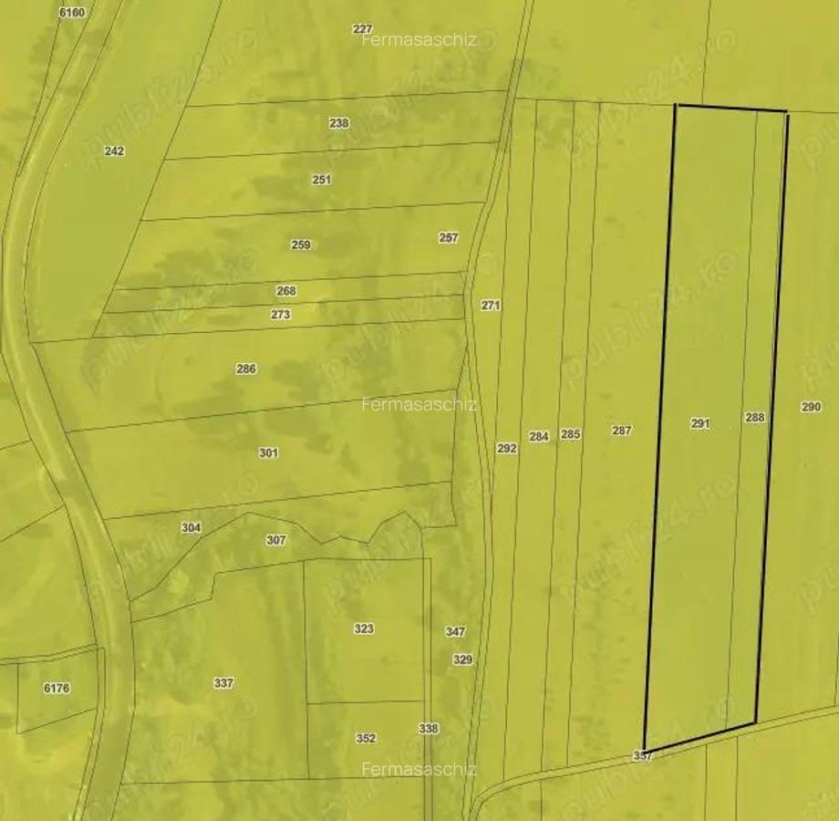 Teren extravilan 2 ha in comuna Saschiz Mures - 2 Teren extravilan 2 ha in comuna Saschiz Mures - 2