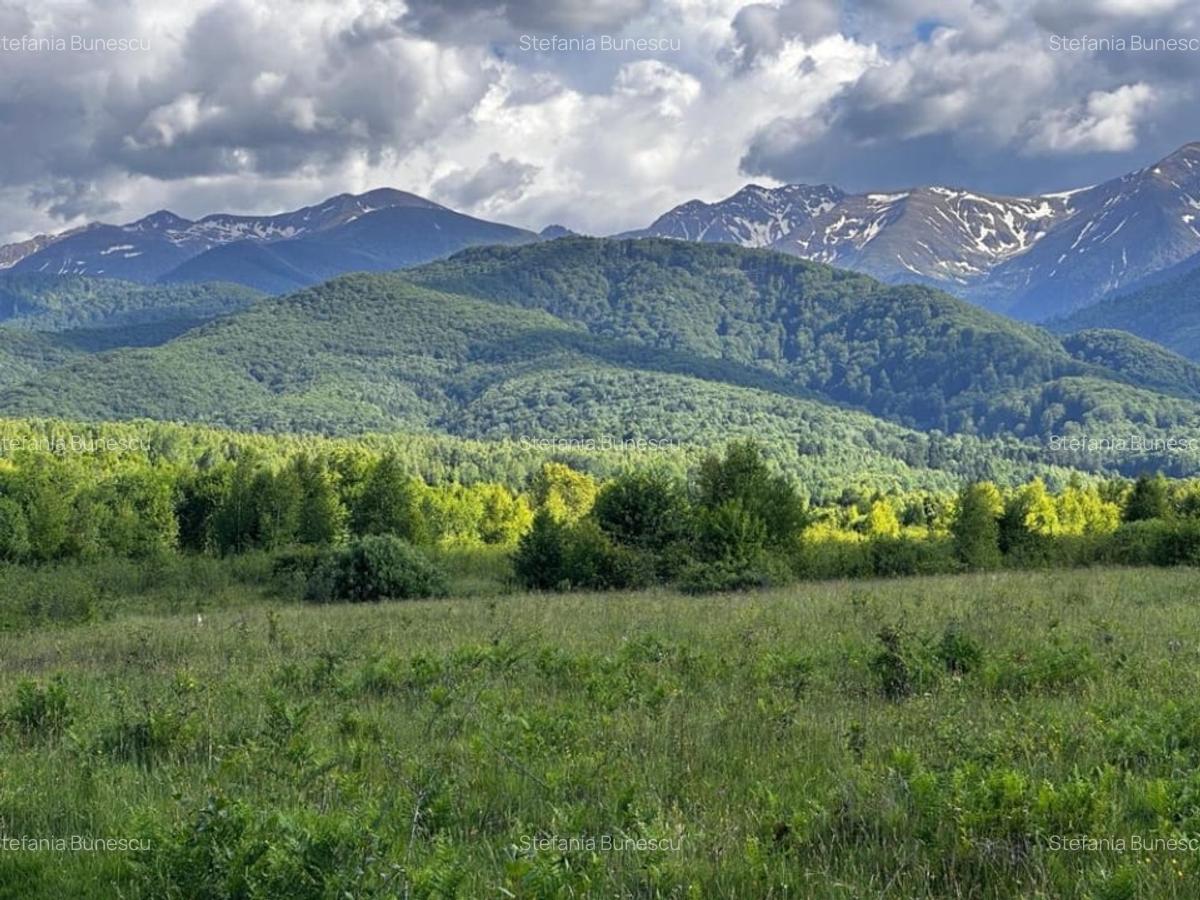 Teren  de vanzare -PUZ aprobat | 860 mp |  Valea Avrigului - 4