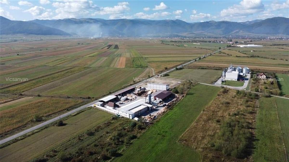 Oportunitate investiție prelucrare lemn, Cristian,jud.Sibiu - 4