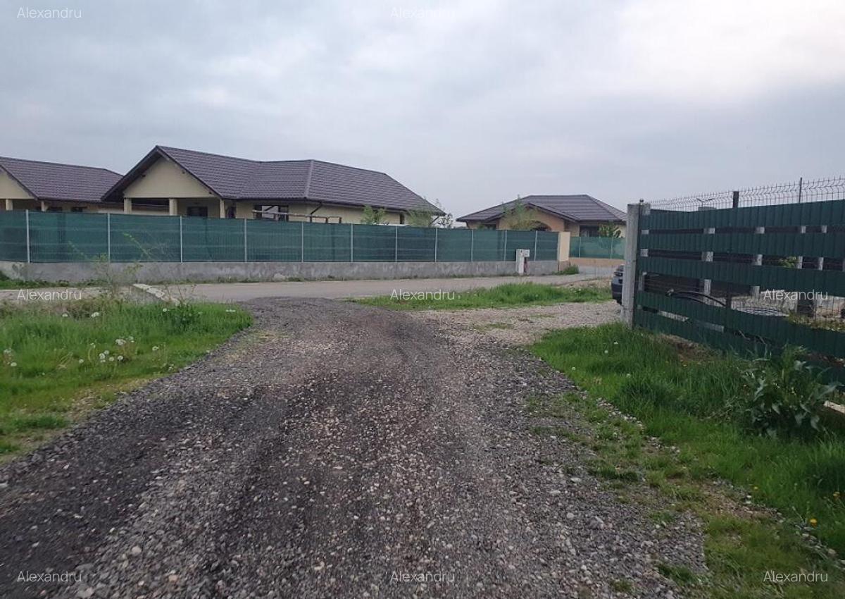 Lot teren Balotesti,langa case noi-50 m de asfalt 600mp - 12