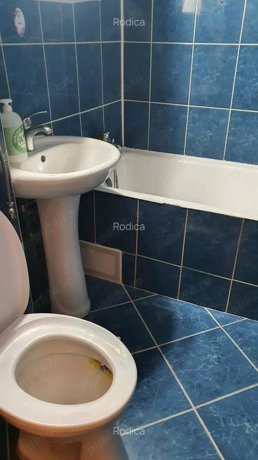 Inchiriez garsoniera 1 Decenbrie 1918 - 6