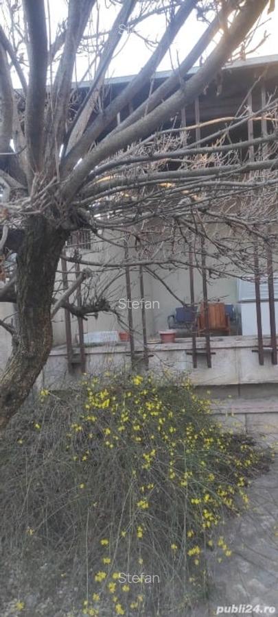 Proprietar Vând Casă zona Bălcescu- Zanoni - 3