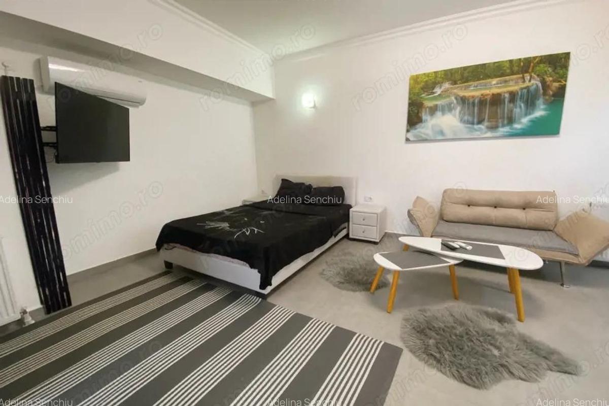 Studio | Vedere frontala spre lac | Solid House Butoaie | Termen lung - 5