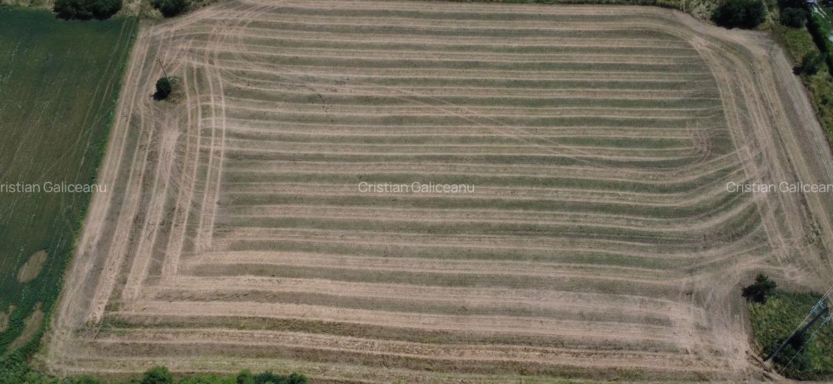 De vânzare teren extravilan – Calea Feldioarei, 10.000 mp - 1