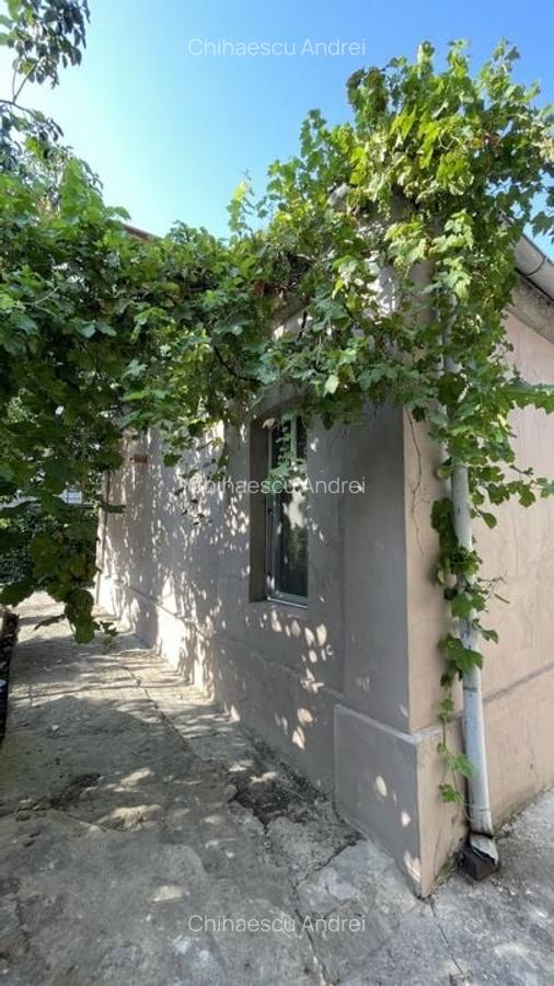 Casa + Anexa | Traian | Pache | Popa Nan | 400 mp- 262 curte - 9