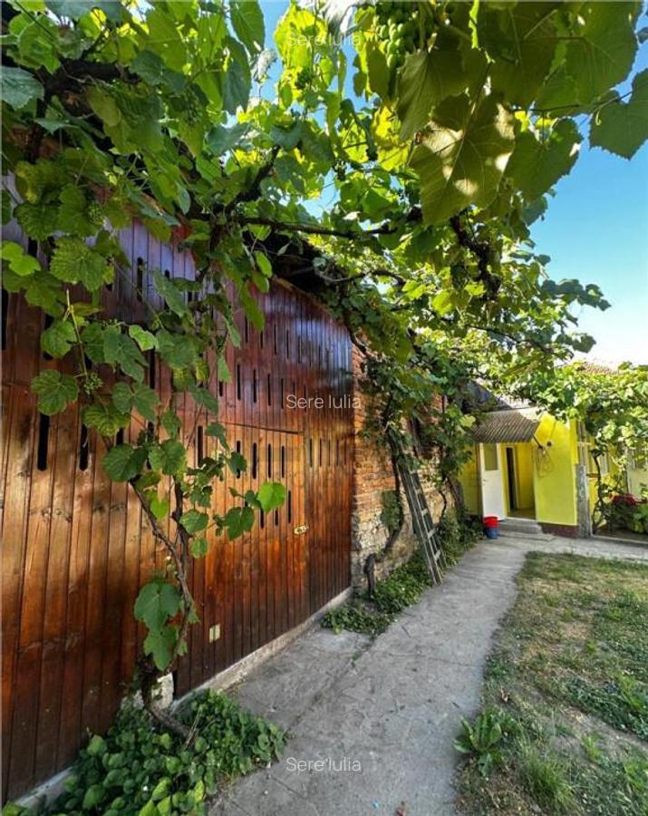 Reco Casa cu teren in Uileacul de Beius - 1