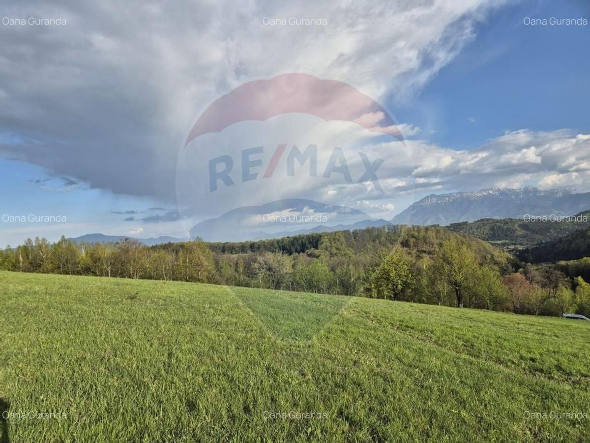Teren Construcții intravilan de 11600 mp, în Poiana Mărului - 12