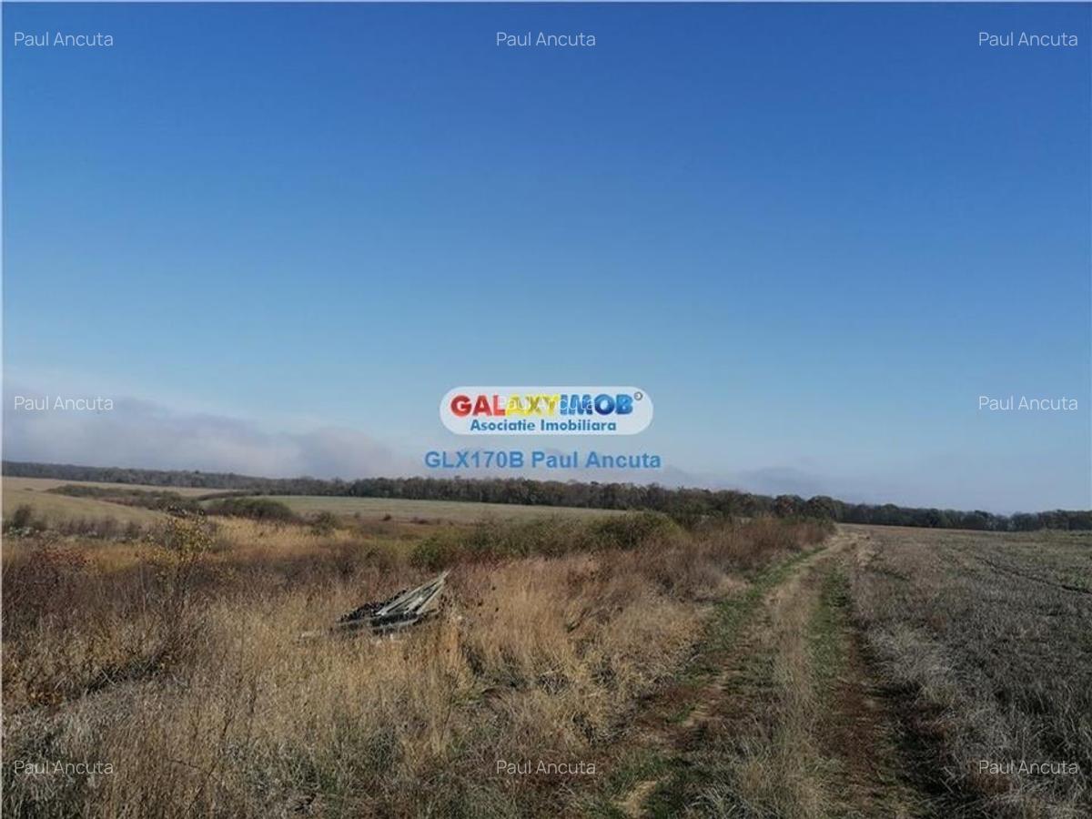 Teren Snagov Ghermanesti  latura mare  lac si padure 70000 - 2