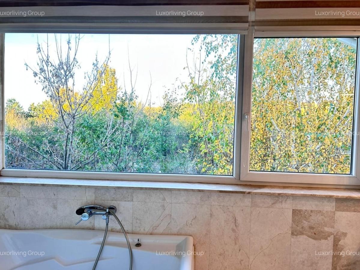 Vila superba in cartier de lux Pipera - piscina exterioara - gradina - 11