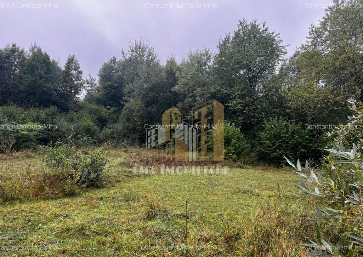 Teren intravilan Sinca Noua - 7