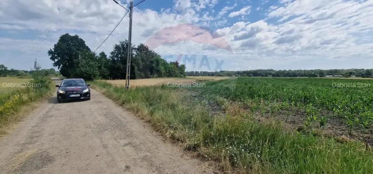 De vanzare teren 10.001 mp sat Oniscani, comuna Filipe?ti - 3