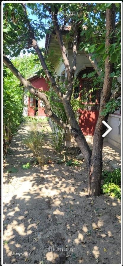 Baduc Toporasi str Iacob Andrei - 6