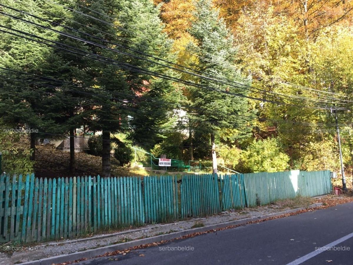 Casa si teren 1000 mp, Sinaia, zona excelenta, pe Furnica, langa Peles - 3