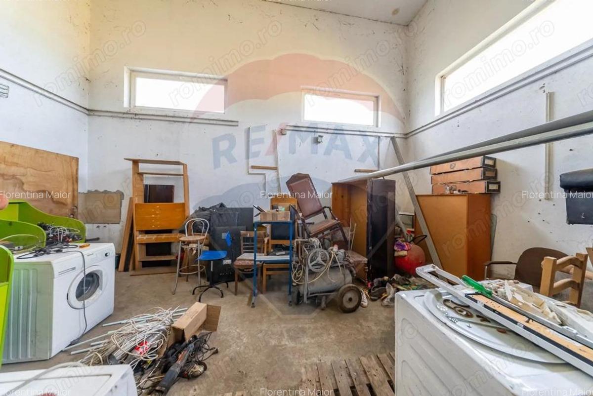 Spa?iu industrial cu potential de vanzare in Paulis,Arad - 13