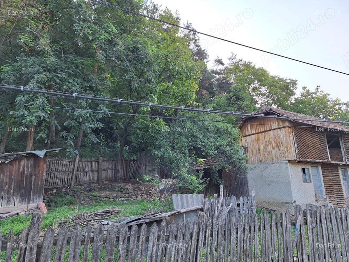Vinzare proprietate in Catina jud.Buzau - 4
