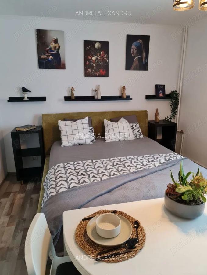 Inchiriez garsoniera Sector 4 - 3